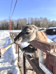 Similar image 22027840