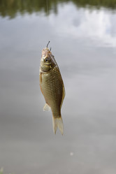 Similar image 22027841