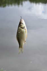 Similar image 22027842