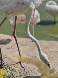 Similar image 22027843