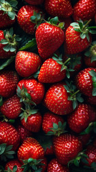 Similar image 22038366