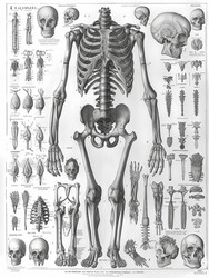 Similar image 22038379