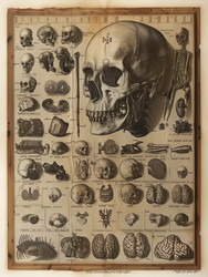 Similar image 22038381