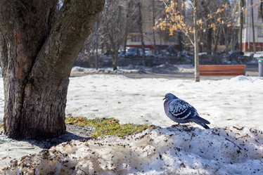 Similar image 22032029