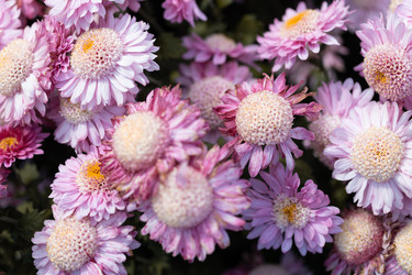 Similar image 22042247