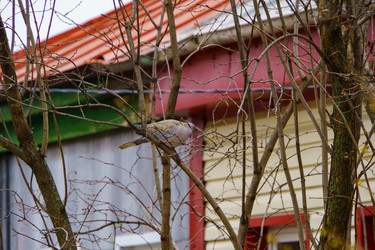 Similar image 22040844