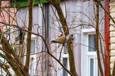 Similar image 22041895