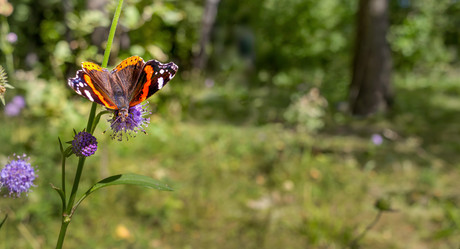 Similar image 22032035