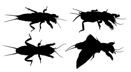 Similar image 22025707