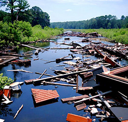 Similar image 22032197