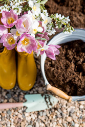 Similar image 22025515