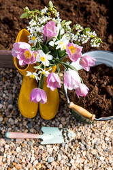 Similar image 22025518