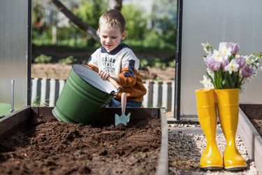 Similar image 22037137