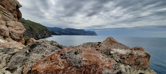 Similar image 22045702