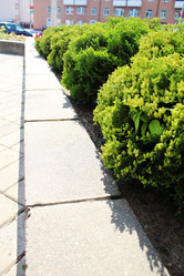 Similar image 22037923