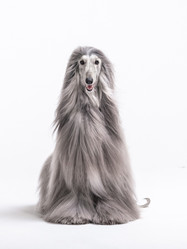 Similar image 22028521