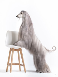 Similar image 22028522