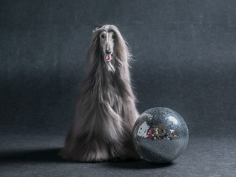 Similar image 22028523