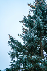 Similar image 22045620