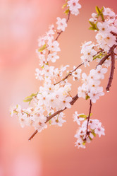 Similar image 22025468