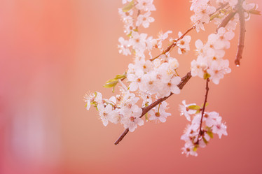 Similar image 22026720