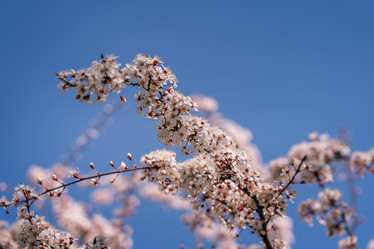 Similar image 22044717