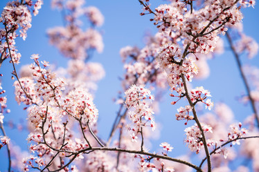 Similar image 22026721