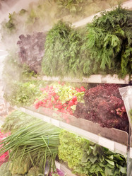 Similar image 22045627