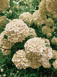 Similar image 22056987