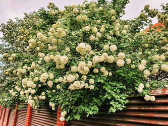 Similar image 22056988