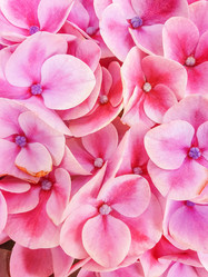 Similar image 22045629