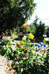 Similar image 22037927