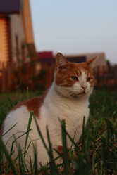 Similar image 22028526