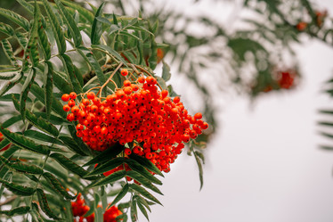 Similar image 22056691