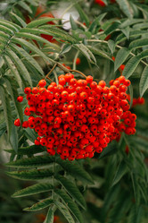 Similar image 22026727