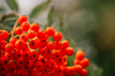 Similar image 22056692