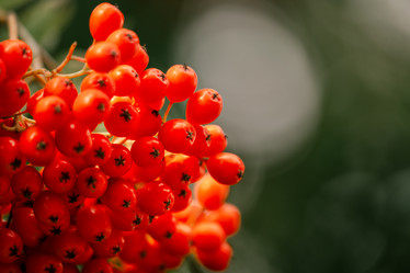 Similar image 22026728