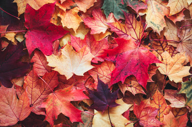 Similar image 22026729