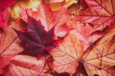 Similar image 22026730