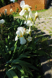 Similar image 22037929