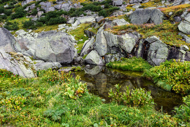 Similar image 22025470