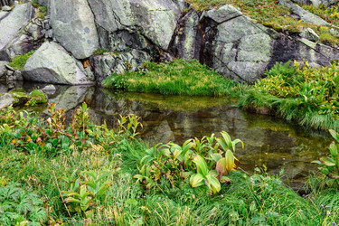 Similar image 22025471