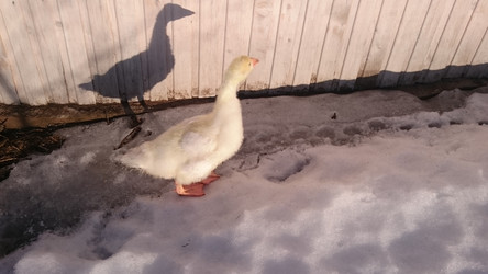 Similar image 22027204