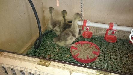 Similar image 22027205