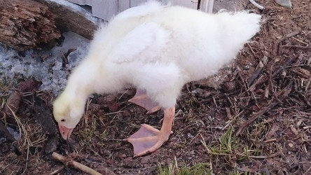 Similar image 22027206