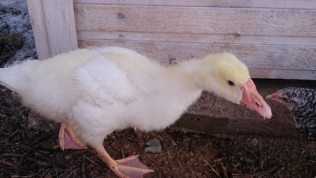 Similar image 22027207