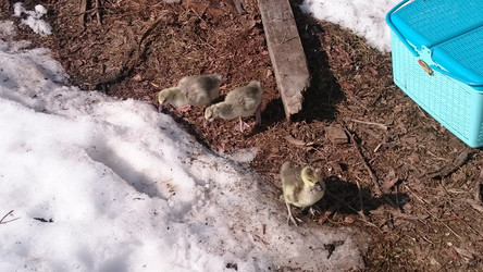 Similar image 22027209