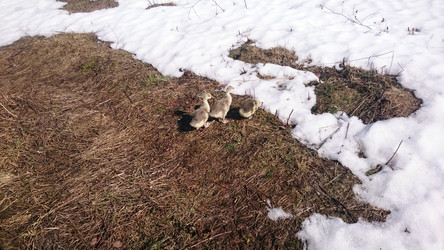 Similar image 22027210