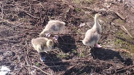 Similar image 22027212