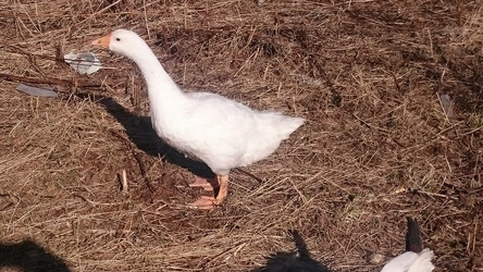 Similar image 22027213